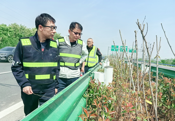 中原高速总经理王铁军到中宇公司所监理的机场高速检查绿化提升专项工程指导检查工作2_副本.png